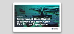 th-wp-government-digital-elevate-customer-experience