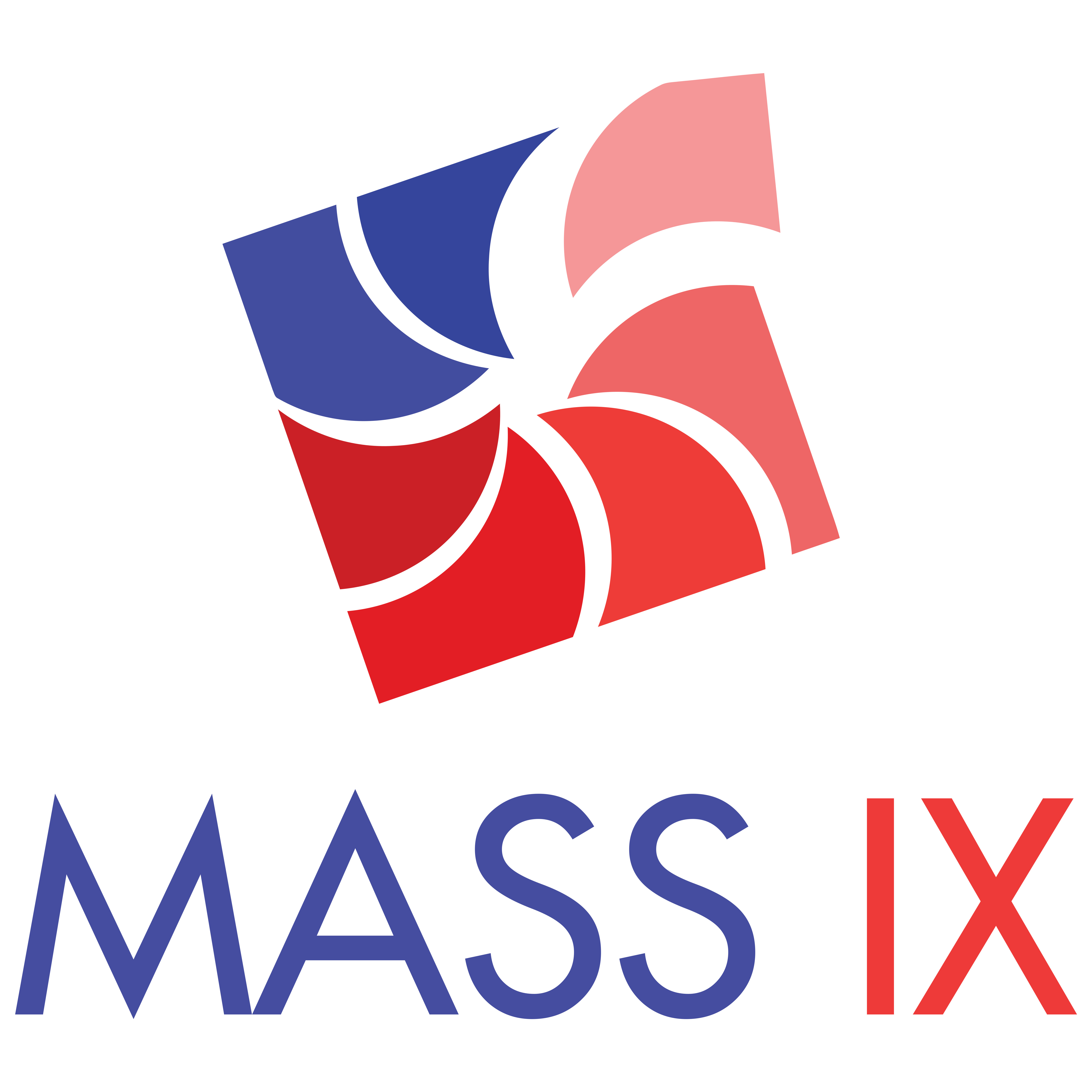 MASS IX Logo