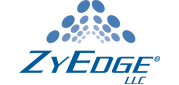 ZyEdge Logo