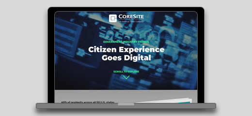 GOVERNMENT DIGITAL TRANSFORMATION TRENDS